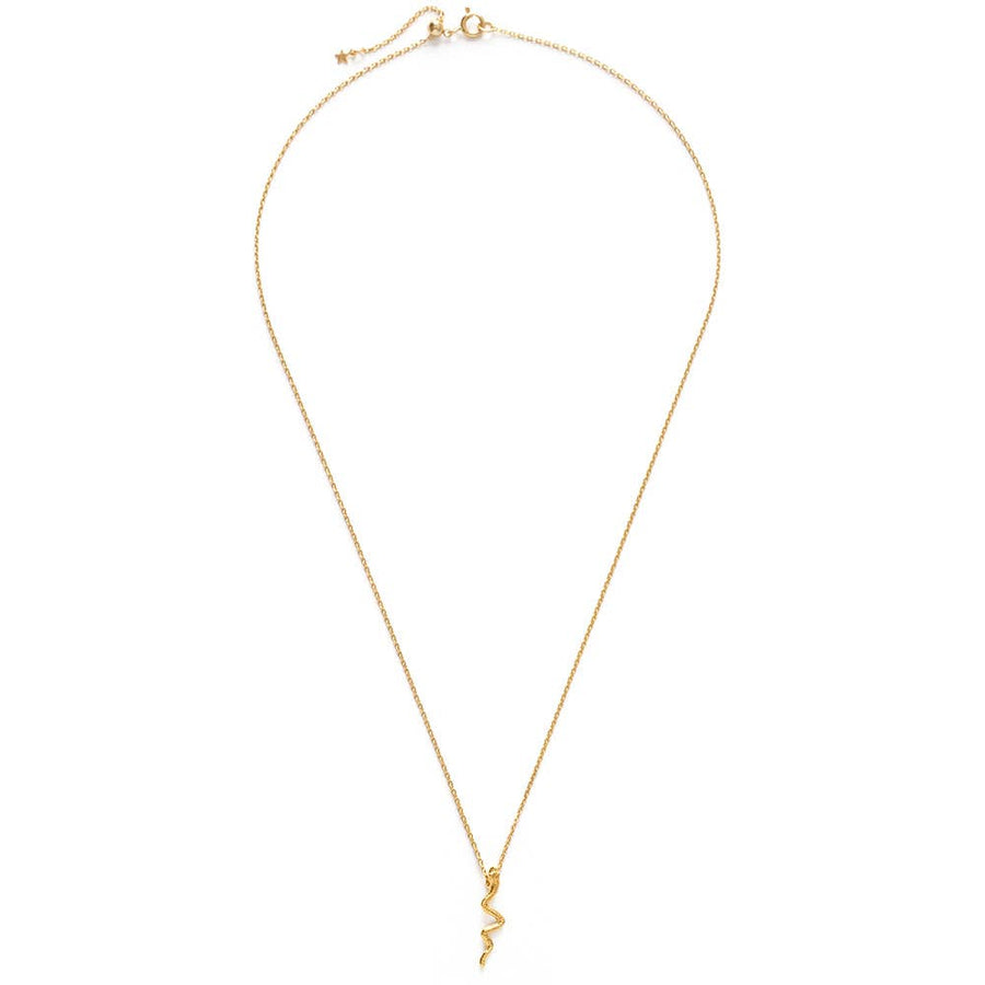 Tiny Gold Serpent Necklace