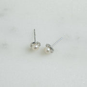 Pearl Button Studs: Gold
