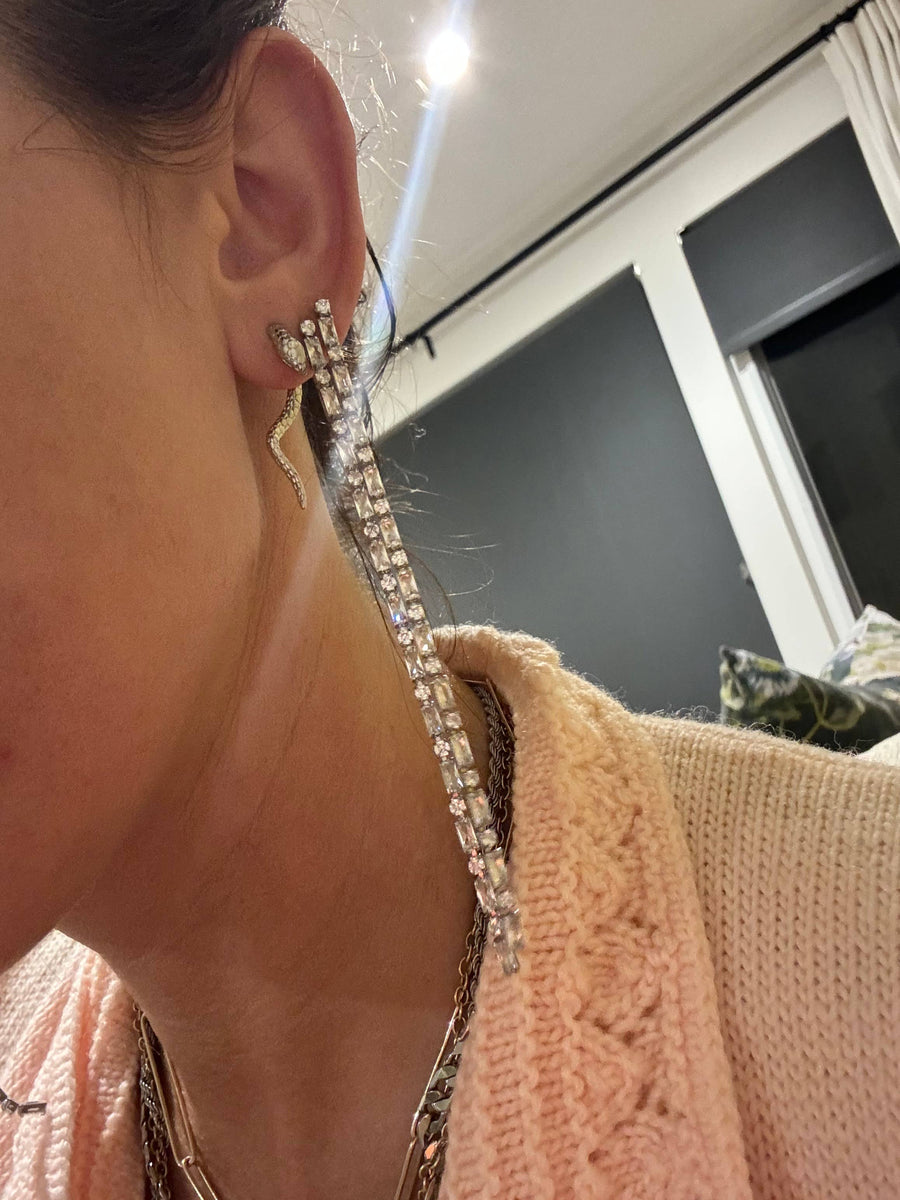 Serpentine Earrings: Silver