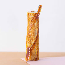 Load image into Gallery viewer, Baguette Alligator Hair Clip Set