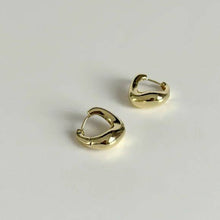 Load image into Gallery viewer, Le Sculpt Chubby Hoops