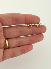 Load image into Gallery viewer, Wild Stud Earrings 