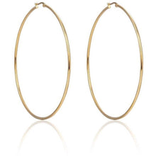 Load image into Gallery viewer, Hula Oval Hoops: Silver