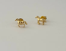 Load image into Gallery viewer, Wild Stud Earrings 