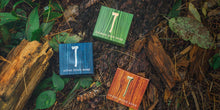 Load image into Gallery viewer, Balsam Pine Soap
