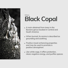 Load image into Gallery viewer, Black Copal Hand-Rolled Incense Stick