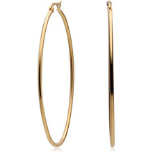 Load image into Gallery viewer, Hula Oval Hoops: Silver