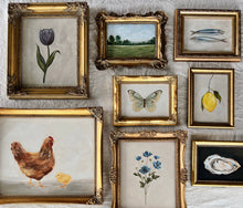 Load image into Gallery viewer, OYSTER - Art Print (framed) : 5x7"