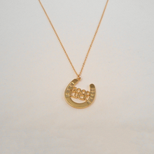 Load image into Gallery viewer, Good Luck Necklace