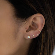 Large Opal Studs: Gold