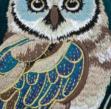 Load image into Gallery viewer, Emerald Owl Decor Pillow