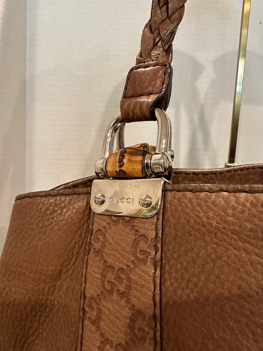 Shelly P Gucci Brown Bag