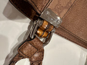 Shelly P Gucci Brown Bag
