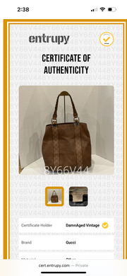 Shelly P Gucci Brown Bag