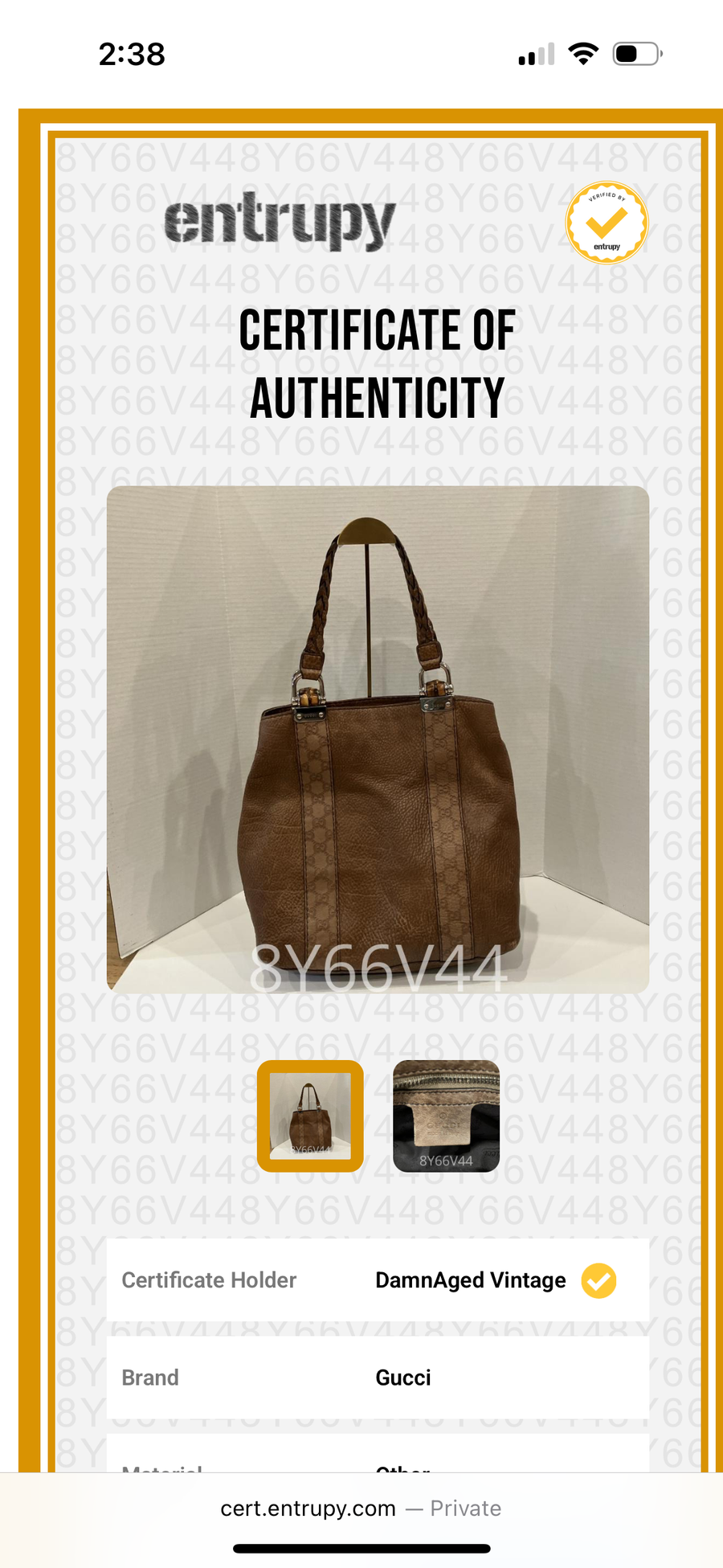 Shelly P Gucci Brown Bag