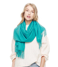 Load image into Gallery viewer, Cozy Woven Cashmere Wrap Shawl Scarf Throw: Brown