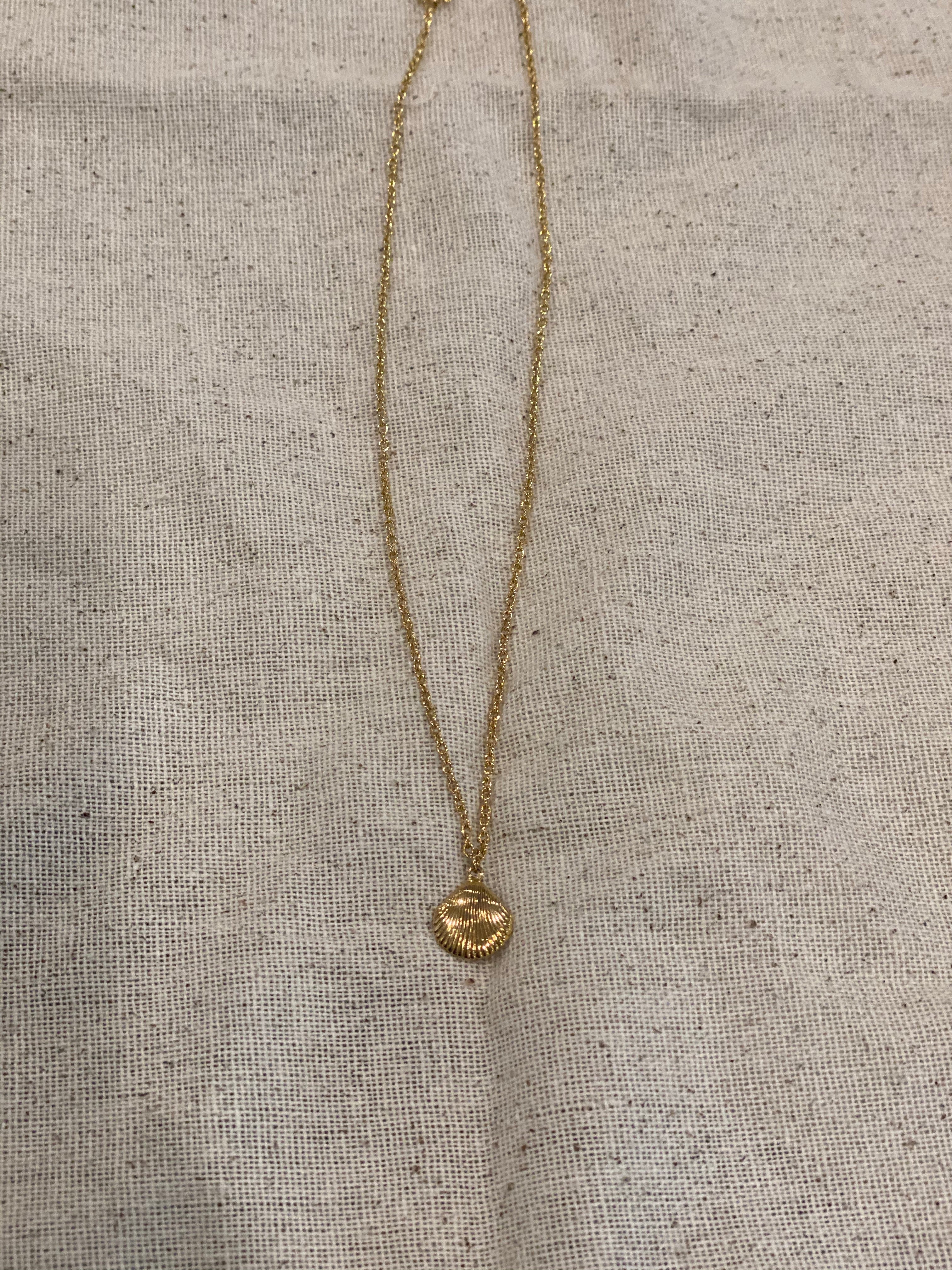 Tiny gold shell necklace